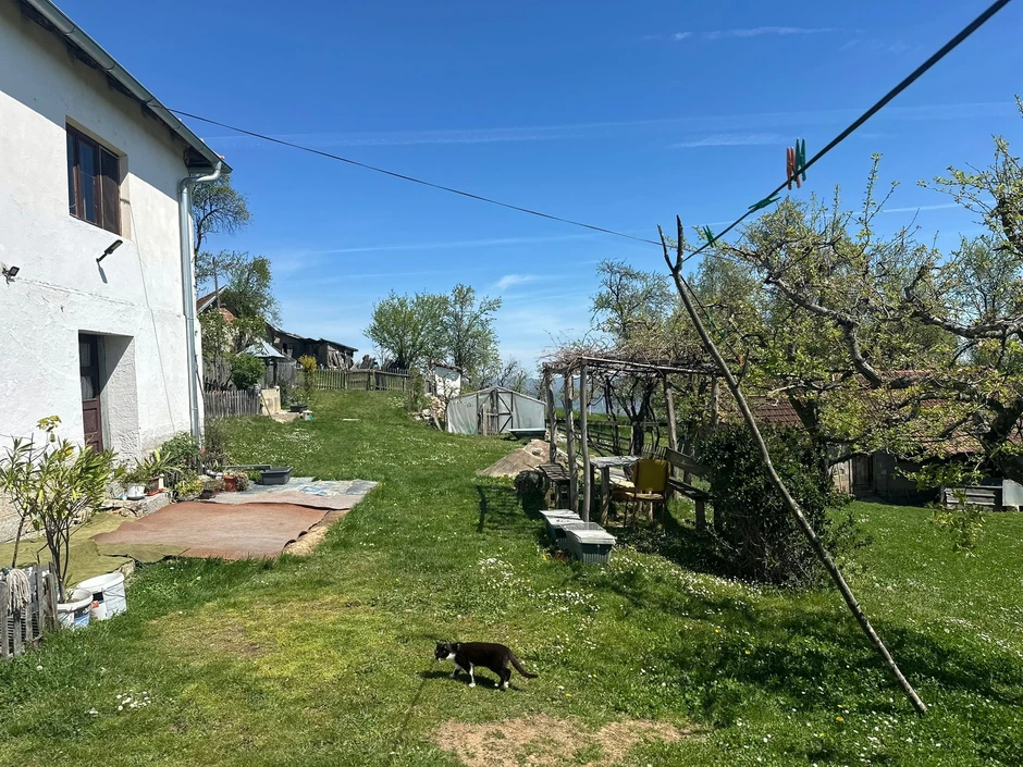 Domaćinstvo Vere Milić