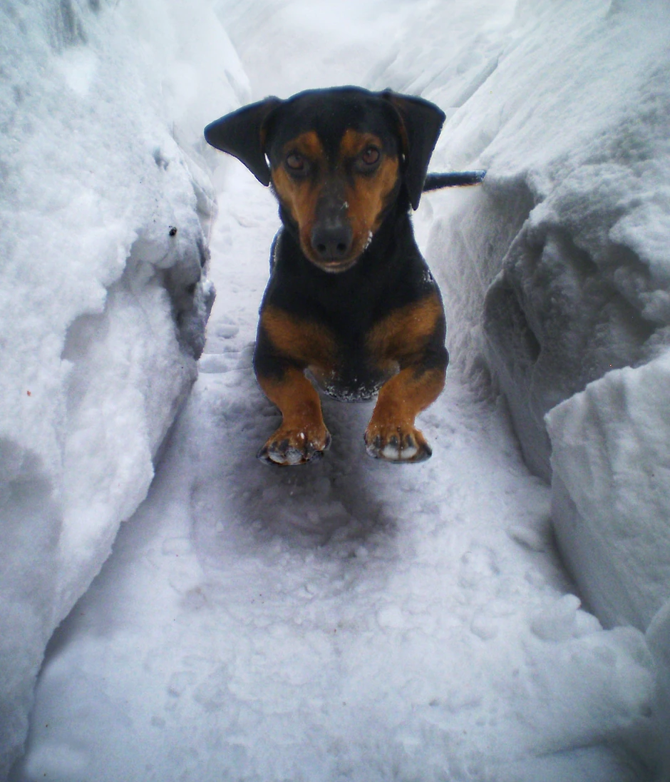 Kula (Foto: Milica Pašić)