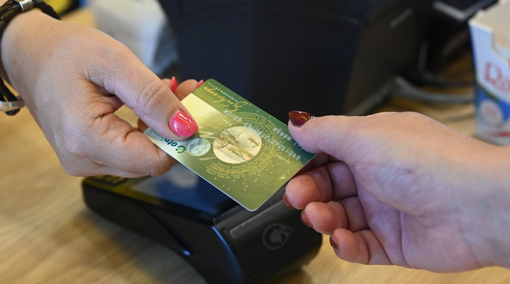 Ennyi ember kaphat extra pénz a  SZÉP-kártyára/ Fotó: MTI/Máthé Zoltán