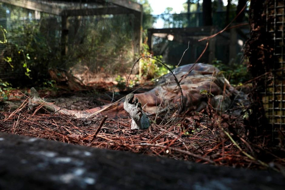 U SAD postoji sedam "farmi tela"