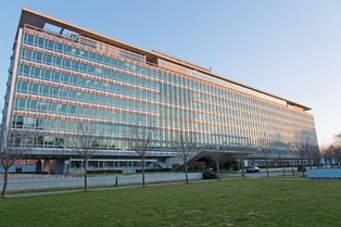 Dobre informacje z WHO. Wypłaszcza się krzywa zgonów i zakażeń w Europie Zachodniej