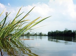 Spędził noc w rzece, szukali go na beczce