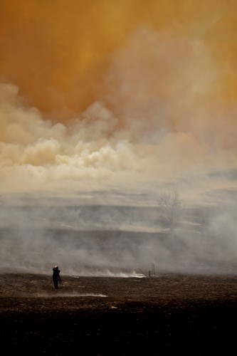 'Dzika Ameryka'. Zdjęcia z nowego serialu Discovery Channel