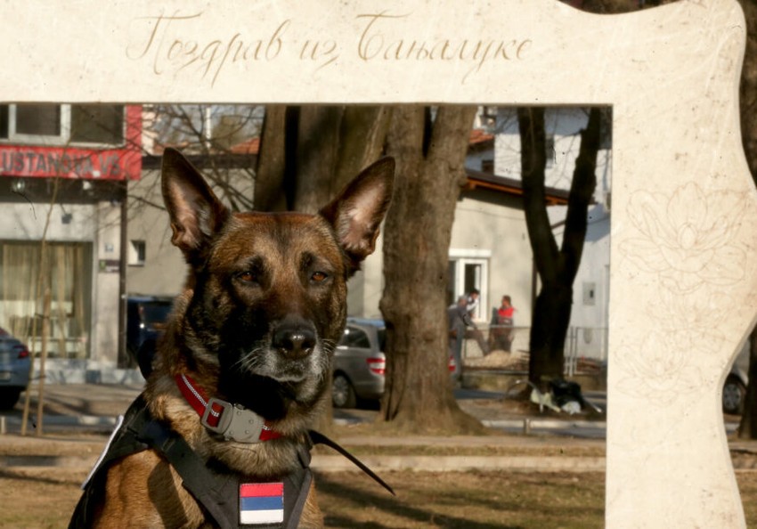 gorska služba spasavanja banjaluka tragač Tora