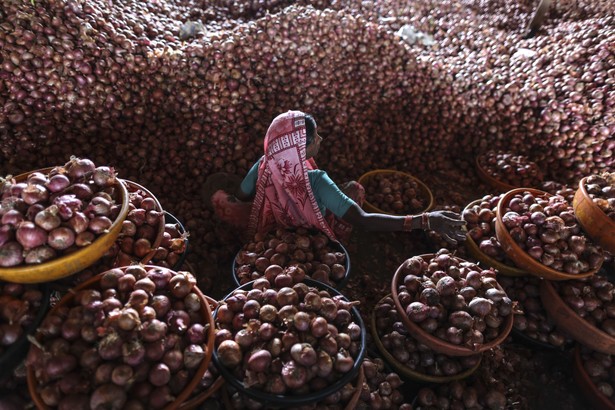 Hinduska sortuje cebule w magazynie należącym do firmy Shivshankar Trading w miejscowości Lasalgaon w Indiach. Zdjęcie zostało wykonane pod koniec sierpnia 2013 roku, kiedy to ceny cebuli, będącej jednym z podstawowych składników diety Hindusów, rosły w Indiach do rekordowych poziomów. Po raz pierwszy od dwóch lat Indie przygotowywały się do importu tego warzywa. Ceny cebuli w Indiach mają w dużym stopniu znaczenie polityczne, a ich wzrost postrzegany był jako porażka rządu Manmohana Singha. Fot. Dhiraj Singh, Bloomberg's Best Photos 2013