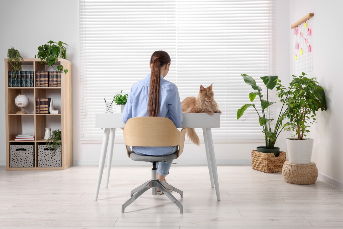Praca w Niemczech. Oto branże, gdzie coraz więcej osób wybiera home office