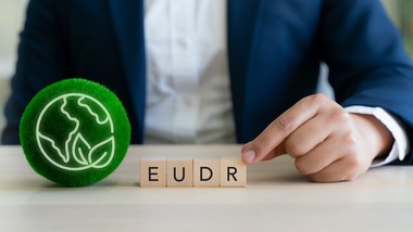 eudr zmieniany na ostatnią chwilę