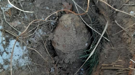 Lubuskie: Niebezpieczne znalezisko z czasów II wojny światowej odkryto w lesie