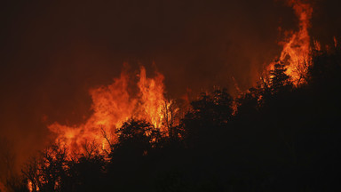 W Argentynie płoną lasy. Rząd ogłasza alarm pożarowy w całym kraju