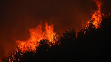 W Argentynie płoną lasy. Rząd ogłasza alarm pożarowy w całym kraju