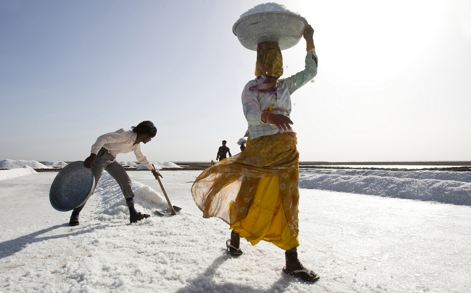 Yellow Lady (pol. Żółta dama) - Charlotte Anderson/National Geographic Traveler Photo Contest