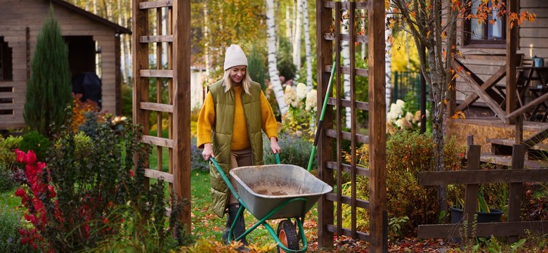 Ogród w październiku [Kalendarz ogrodnika]