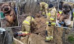 Strażacy z Tyszowców uratowali małe szczeniaki. Nie zgadniesz, gdzie utknęły