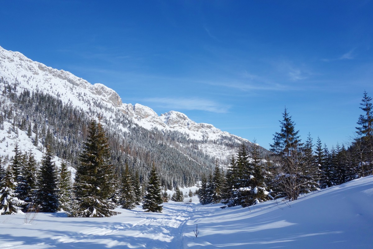 Tatry