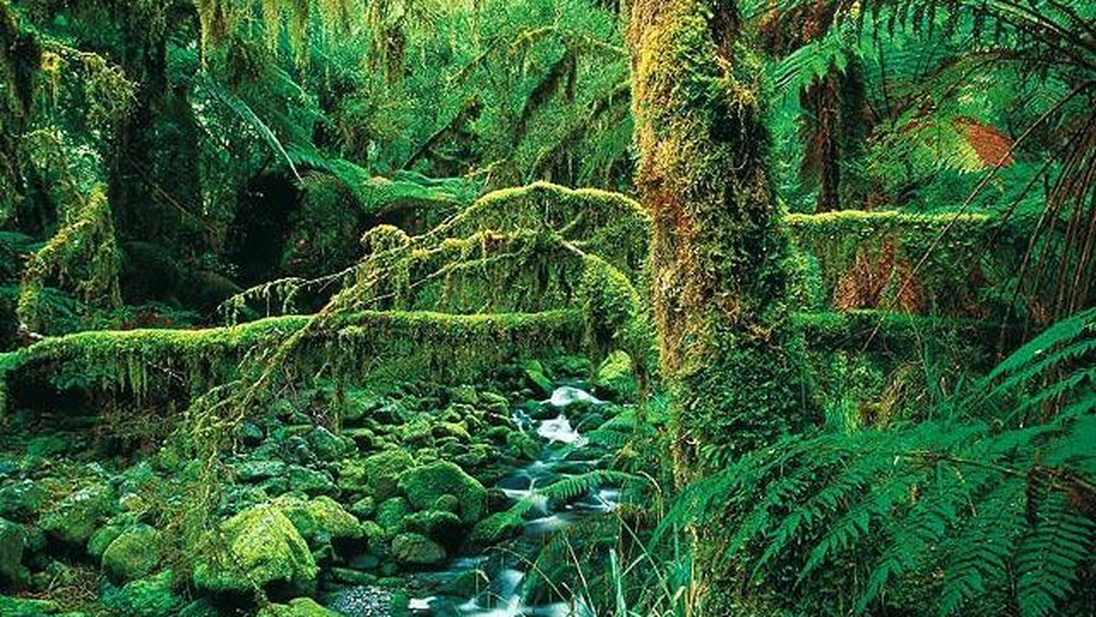 Galeria Nowa Zelandia - Zielony raj, obrazek 1