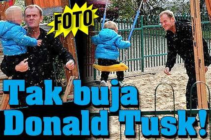 Tak buja Donald Tusk! FOTO