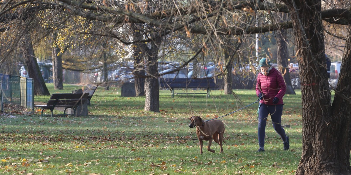 Pogoda 10 i 11 września: burze i deszcz na zachodzie Polski 