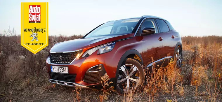 Peugeot 3008 - SUV, który chce być smart