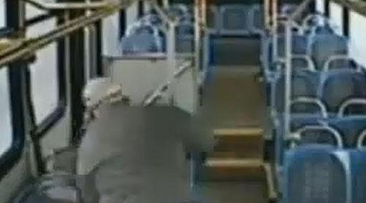 Összeverte a buszvezető az utast! – Videó