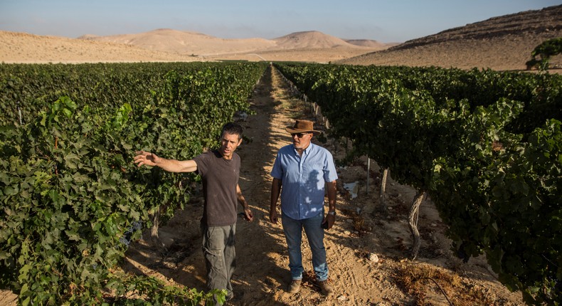 The Future of Wine: Very, Very Dry