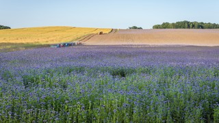 NSA: po stwierdzeniu nieważności części planu miejscowego możliwa decyzja o warunkach zabudowy