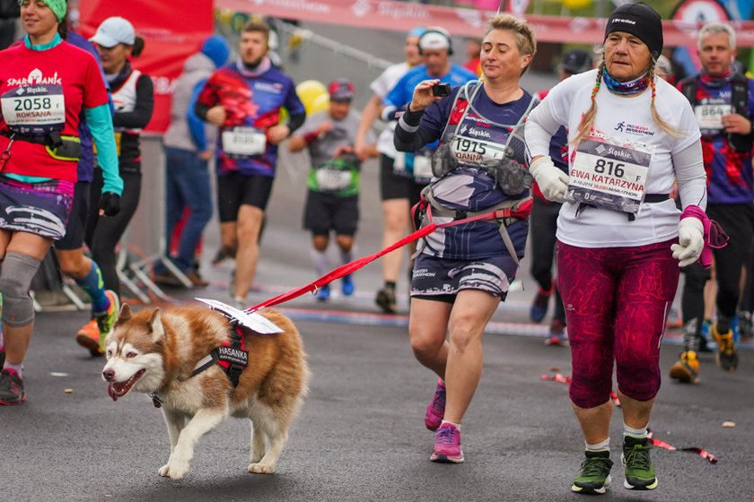 Chorzów. Start uczestników XI edycji Silesia Marathon 2019