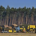 Budowę fabryki Tesli pod Berlinem wstrzymują... dzikie węże