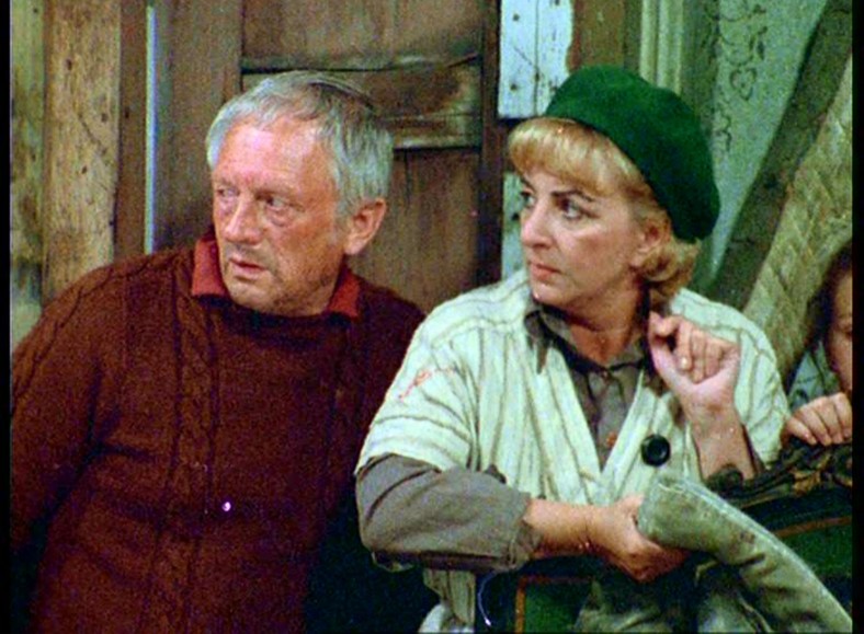 Zofia Czerwińska w serialu "Alternatywy 4" 