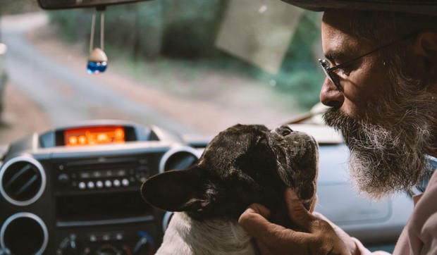 Ilustracija: putovanje sa kućnim ljubimcima