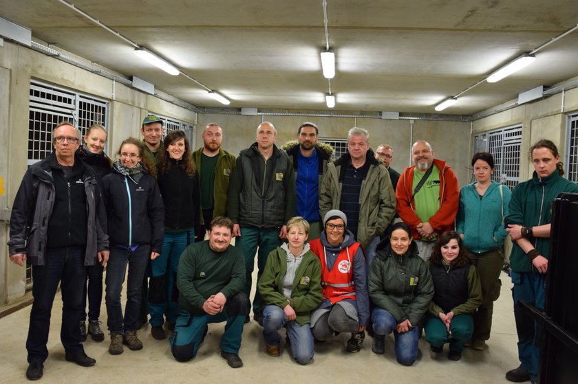 Poznańskie Nowe Zoo ma dwa nowe misie! W azylu dla niedźwiedzi zamieszkały Ewka i Gienia