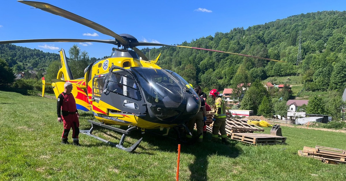Atak byka w Beskidach: dramatyczna akcja ratunkowa