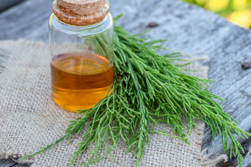 skrzyp polny, napar ze skrzypu polnego