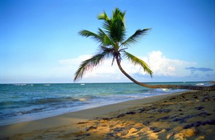 Podmorskie złoża minerałów uczynią z Wysp Cooka gospodarczą potęgę?