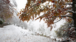 Elképesztő: ebben a magyar faluban egész télen minden nap esik a hó