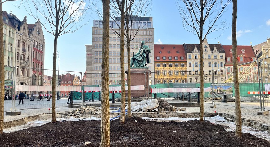 Nowe drzewa pojawiły się już w okolicy pomnika Aleksandra Fredry