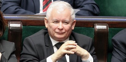 PiS zyskuje na "Polskim Ładzie". Jaki wynik Koalicji Obywatelskiej? Nowy sondaż