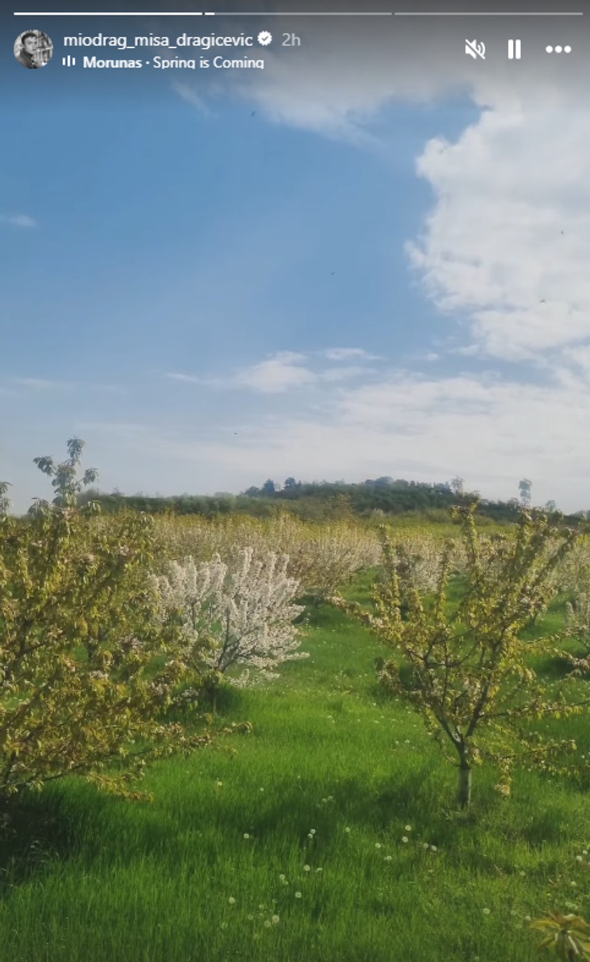 Miodrag Dragičević otišao na selo