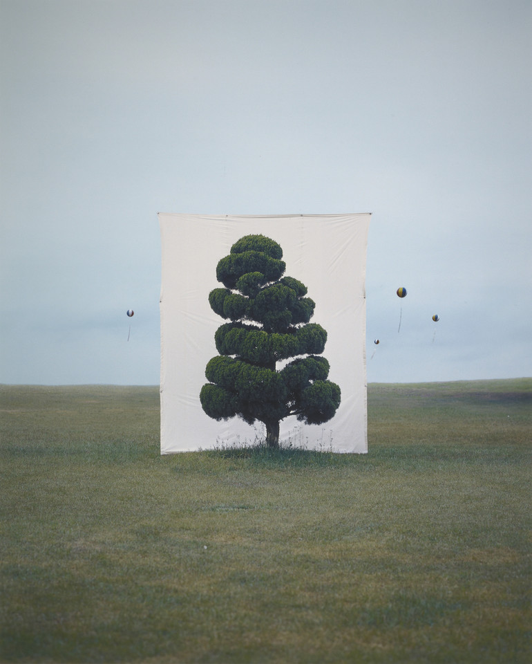 Myoung Ho Lee, "Tree #2" (2006)