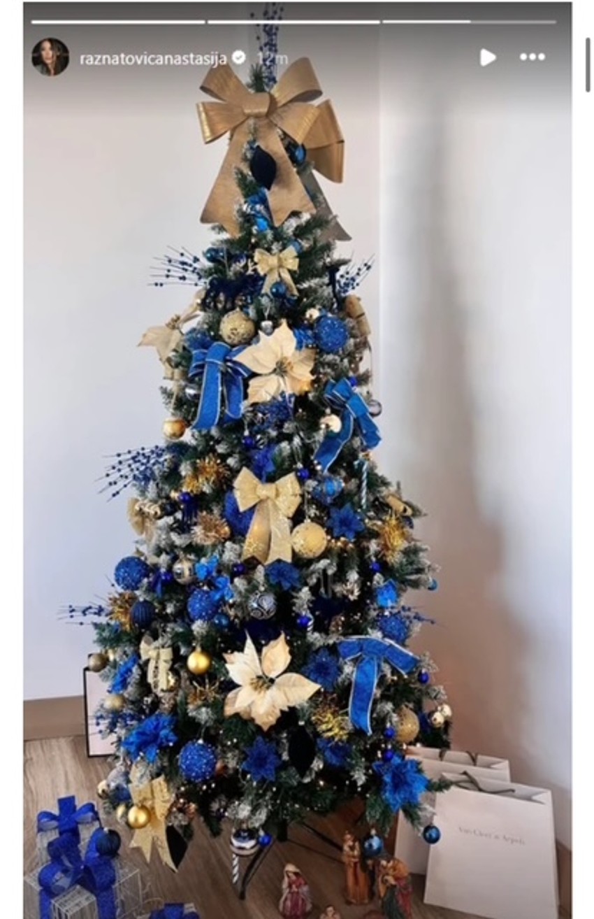 Anastasija pokazala jelku