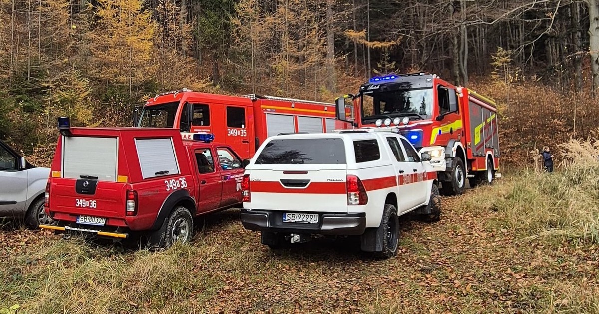 Wstrząsające odkrycie podczas grzybobrania. Na miejscu natychmiast zaroiło się od służb