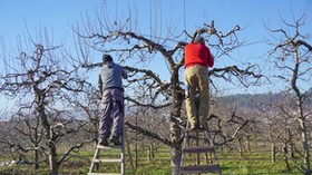 Zdjęcie do artykułu