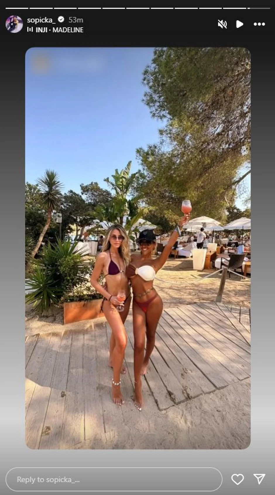 Ivana Šopić, objava