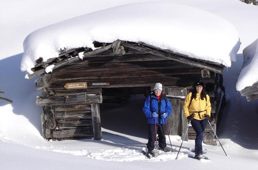 Galeria Austria - Na nartach w Alpbachtal, obrazek 14