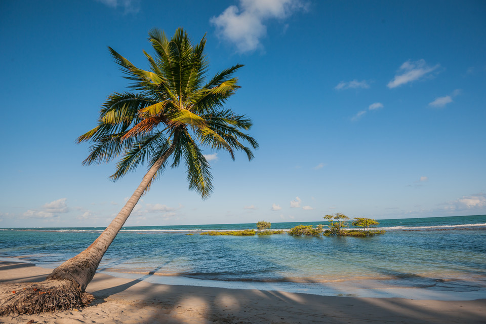 Porto de Galinhas