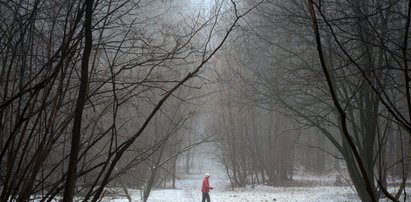 Ostrzeżenia IMGW. Niebezpieczne zjawiska na południ i zachodzie Polski. Nie chodzi tylko o wiatr