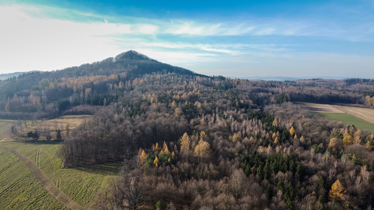 W samym sercu Sudetów leży "skarb" doceniony przez UNESCO