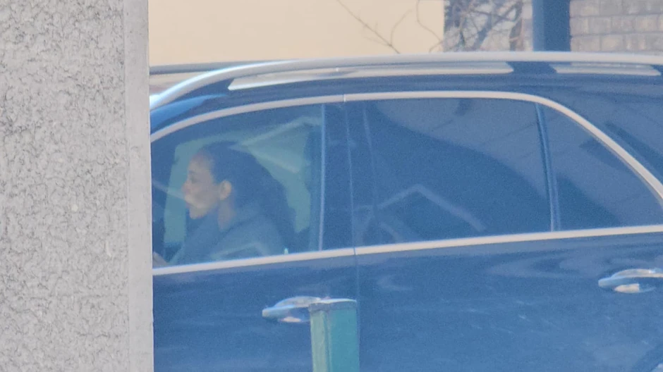 Trudna Edita Aradinović