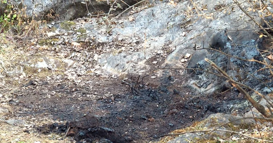 U Vidaka je ispalio tri hica, a onda sa pomagačem zapalio telo