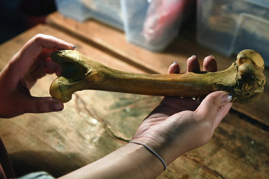 Pećina Denisova u Sibiru (arhiva)