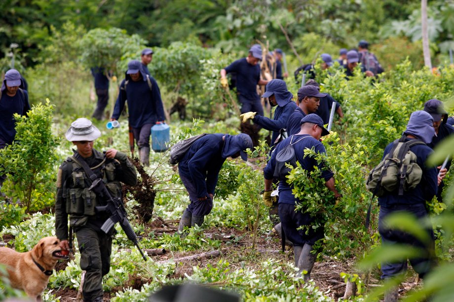 An antidrug policeman with workers during an eradication operation at a coca plantation in southern Putumayo, Colombia, August 15, 2012.